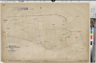 Neuenkirchen (Neuenkirchen), Umlegung Neuenkirchen, Bl. 1 Zuteilungskarte Flur 31
