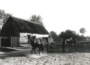 Pferdegespann auf der Dorfstraße