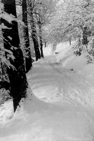 Röhrsdorf, Blick in den Mühlweg im Winter