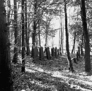 Judenfriedhof; Michelstadt, Am Judenberg