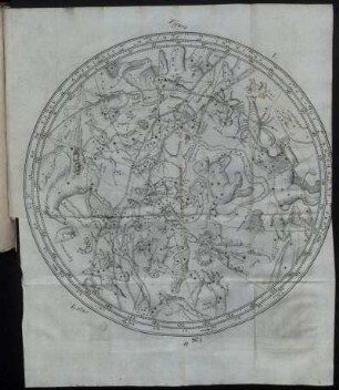 Figura I. - Fig. - X.