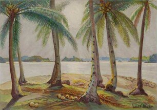 Palmen am Strande der Insel Mahaba