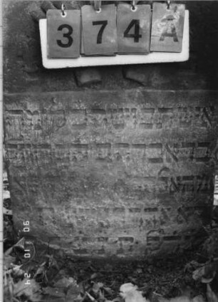 Grabstein 374 (Index: 100115729) Material: Sandstein Zustand: verwittert mit Textverlust Maße HxBxT: 93x61x14 cm Beschreibung: Stele mit Segmentbogenabschluß Symbolik: Cohanim-Hände: Grabstein 374A (Nachholaufnahme)