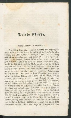 Dritte Klasse. Amphibien. (Amphibia.)