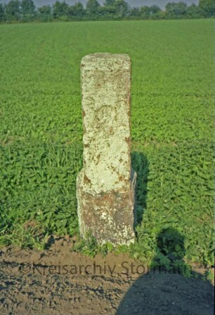 Timmerhorn: Grenzstein [Nr. 31] zwischen Gut Ahrensburg und Amt Tremsbüttel: auf Schmalseite Hufeisen-Symbol