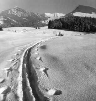 Winterbilder. Allgäuer Alpen. Skispur im Schnee (vielleicht nahe Sonthofen). Blick zum Grünten und zum Horn