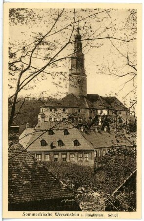 Weesenstein. Schloss