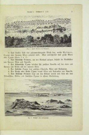 Insel (Mainau im Bodensee)