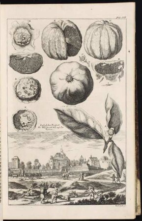 p. 103 Eusserlicher Prospect des Observatorij auf der Vesten. - Burg Nürnberg, Nürnberg; Eimmart-Sternwarte, Nürnberg