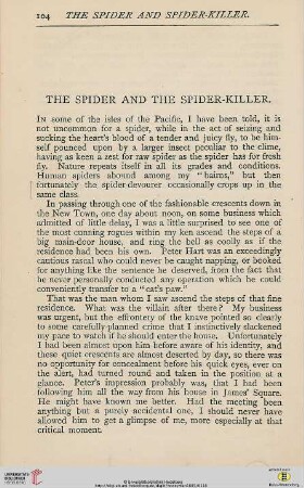 The spider and the spider-killer