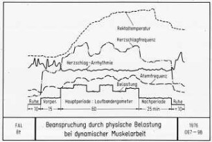 Beanspruchung durch physische Belastung bei dynamischer Muskelarbeit