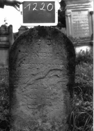 Grabstein 1220 (Index: 100104403) Material: Sandstein Zustand: fast vollständig verwittert Maße HxBxT: 90x45x14 cm Beschreibung: Stele mit Rundbogenabschluss Besonderheit: Kind: Grabstein 1220