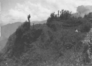 Berghang : Blick auf einen Berghang mit Vegetation