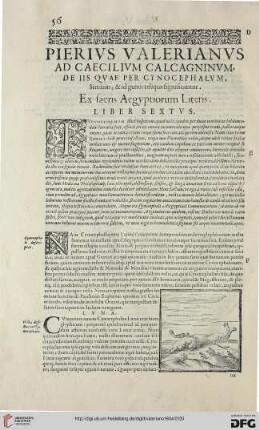 Liber sextvs