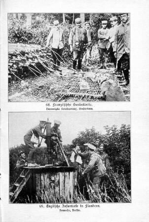 69. Englische Infanterie in Flandern.