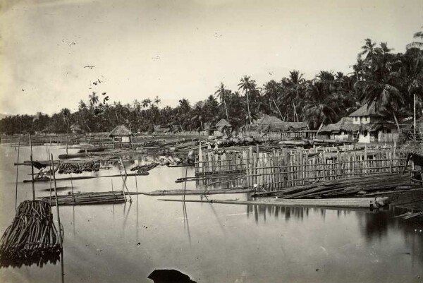 Lac de village avec bois flotté, partie de la rive