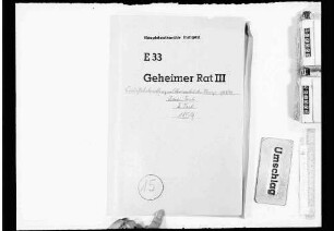Stellvertretung des Königs: Geschäftsbehandlung in Abwesenheit des Königs