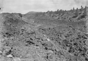 Lavastrom : Junger Lavastrom und umgebende Landschaft. Entlang des Stroms wachsen Pinien