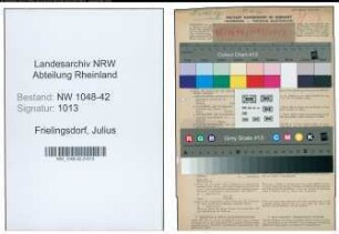 Entnazifizierung Julius Frielingsdorf , geb. 16.06.1892 (Angestellter)