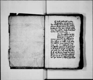 Vom Marienpsalter und der Rosenkranzbruderschaft des Alanus de Rupe