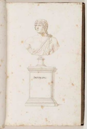 Bildnisbüste des Antinous, in: Imperatorum romanorum ac eorum coniugum liberorum [...] Tomus primus, Nr. 52