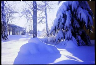 Hinterzarten: Park des Parkhotel im Schnee