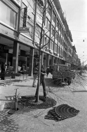 Umbau der Kaiserstraße zwischen Lammstraße und Adlerstraße zur Fußgängerzone