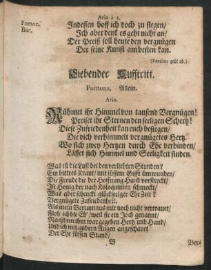 Siebender Aufftritt