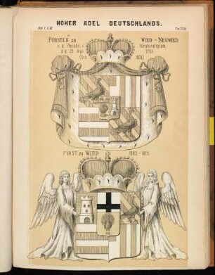 Taf. 376. Fürsten zu Wied-Neuwied n. d. Reichsfürstendiplom, d. d. 29. Mai 1784. (bis 1803.) - Fürst zu Wied 1803-1825.