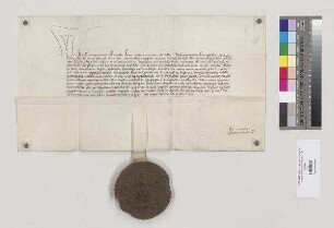 König Ruprecht bestätigt Abt Ulrich [von Pettendorf] und dem Konvent von St. Emmeram alle Regalien, Temporalien und Lehen und empfängt von ihm den Huldigungseid. S=A
