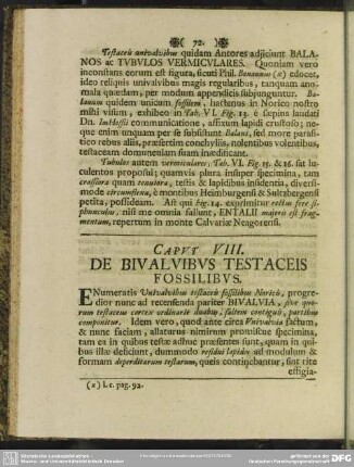 Caput VIII. De Bivalvibus Testaceis Fossilibus