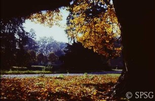 Potsdam, Park Sanssouci, Parterre Bildergalerie und Umgebung.