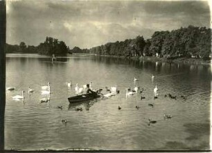Altenburg. Stadtpark. Großer Teich