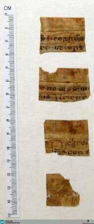 Fragment - Cod. Aug. Fr. 129