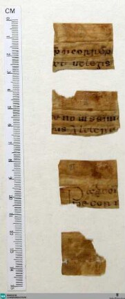 Fragment - Cod. Aug. Fr. 129