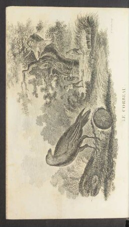 Tafel: Le corbeau.