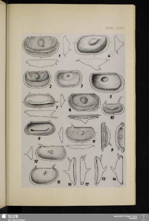 Tafel XVIII
