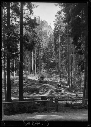 Blick nach dem Aschenbergstein bei Tabarz