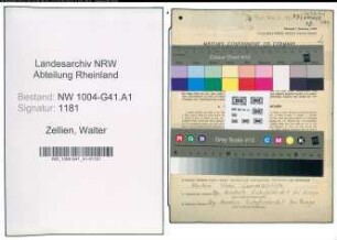 Entnazifizierung Walter Zellien , geb. 23.11.1919 (Polizeibeamter)