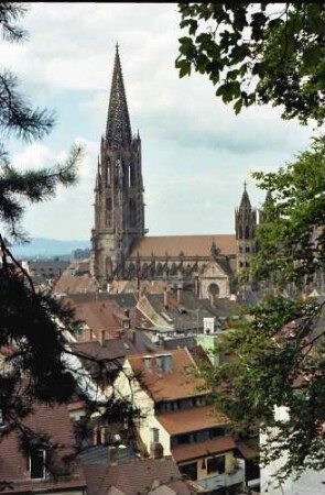 Freiburg: Münster vom Schlossberg, Greiffenegg-Schloss