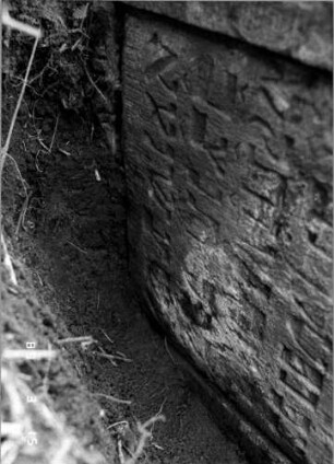 Grabstein 245 (Index: 100108504) Material: Sandstein Zustand: sehr schlecht, stark verwittert, liegend, Textverlust Maße HxBxT: 96x53x8 cm: Grabstein 245B
