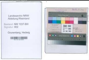 Entnazifizierung Hedwig Grunenberg , geb. 11.08.1886 (Beamtin)