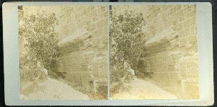 Spring of Robinson's Arch. [Jerusalem, Tempelberg, Robinsonbogen]