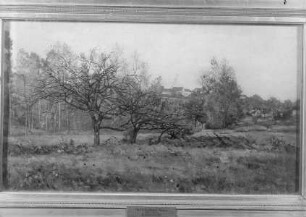 Obstgarten im Herbst