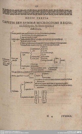 Regio Tertia. Capitis Seu Summae Microcosmi Regionis descriptio, In libros quatuor distributa.