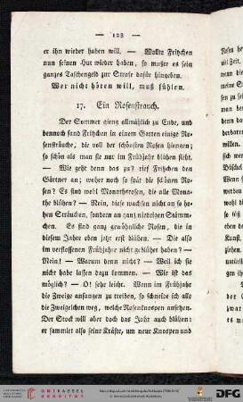 17. Ein Rosenstrauch