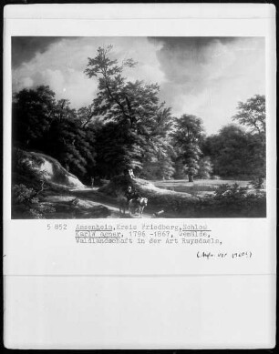 Waldlandschaft