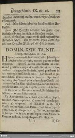 Domin. XXIV. Trinit. Evang. Matth. IX. 18-26