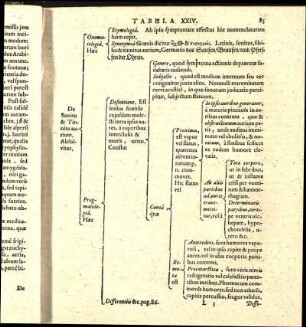 Tabula XXIV.