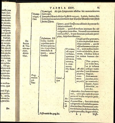 Tabula XXIV.